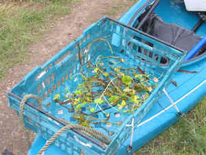 Basket of trouble picked from the canal on Feb 4<SUP>th</SUP>