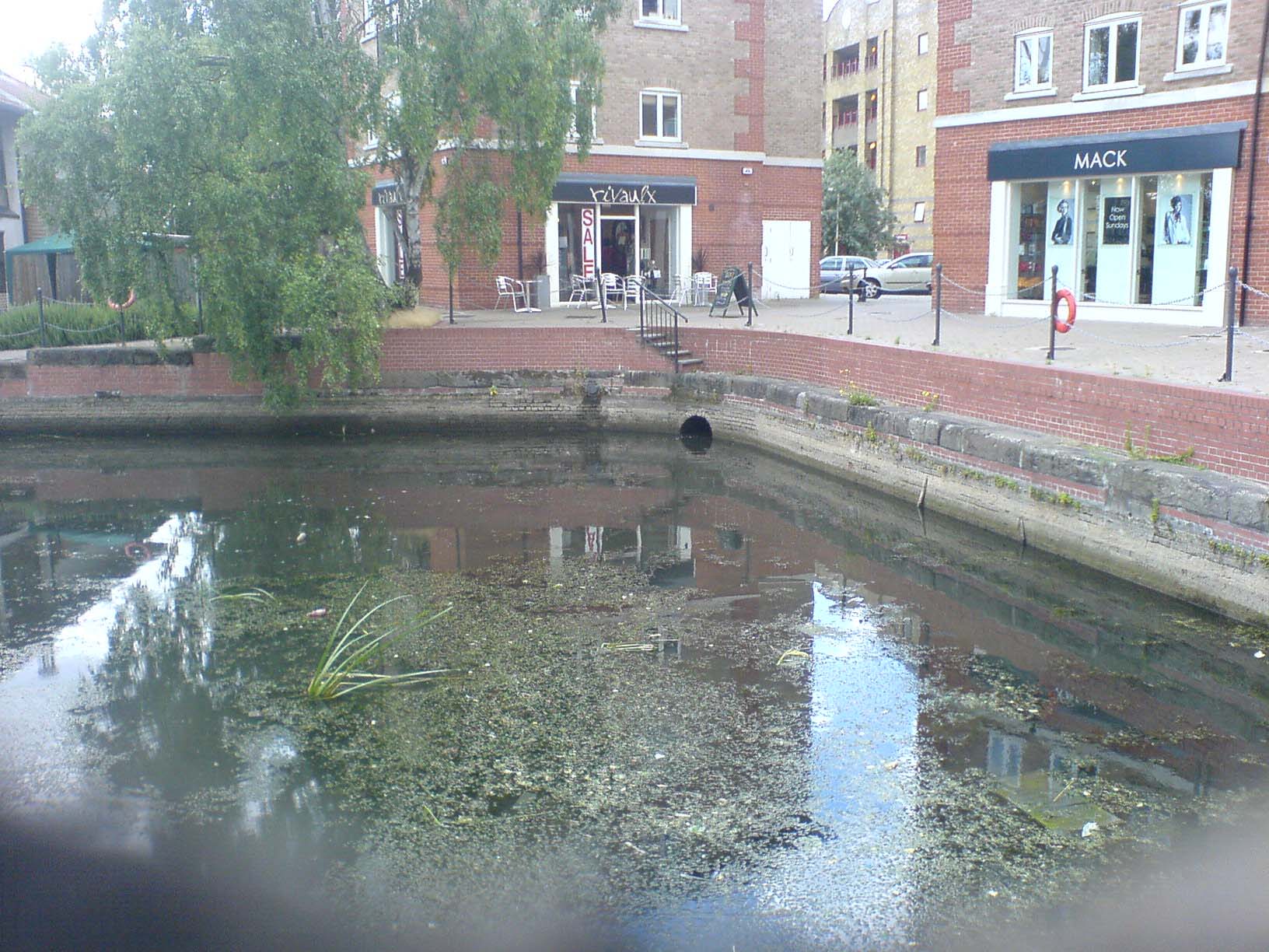 DSC02097